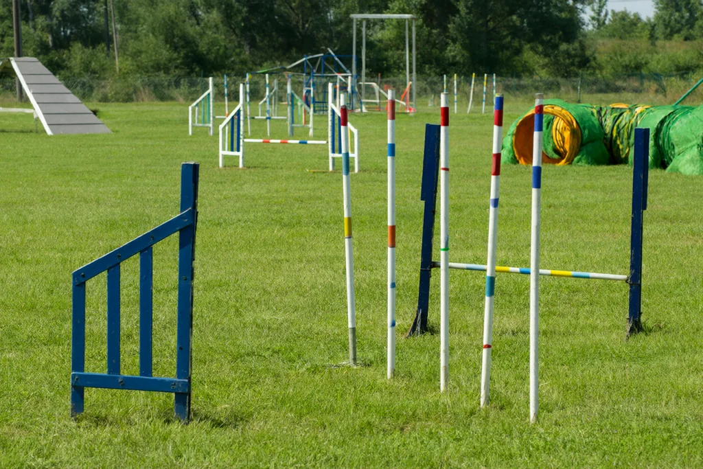 Překážky a dráhy v agility