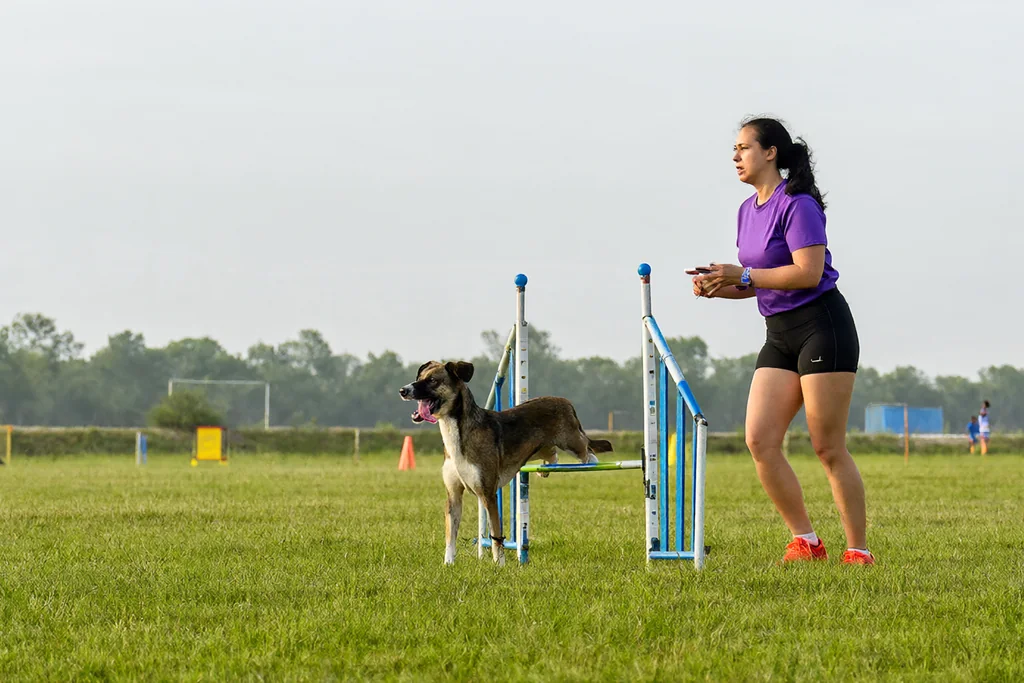 Chceme začít s agility: první kroky